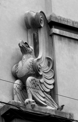 [aves[7].jpg]